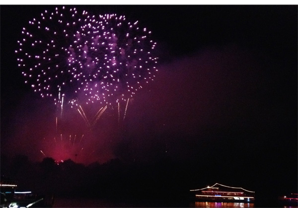 Lilafarbenes Feuerwerk an schwarzem Himmel