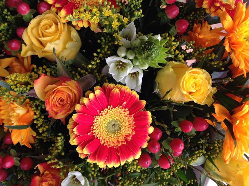 Blumen Geburtstag- nicht nur Online und Social Media